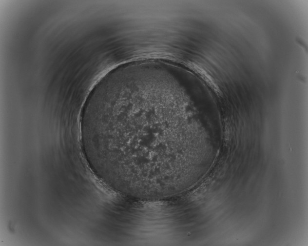 X0000091331031200708241155