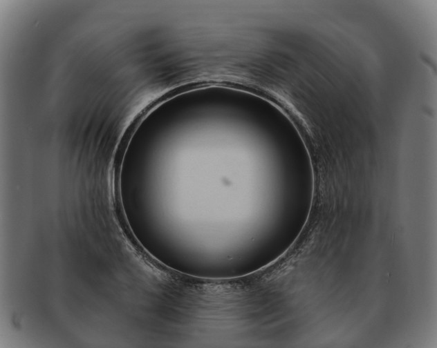 X0000091331032200708241155