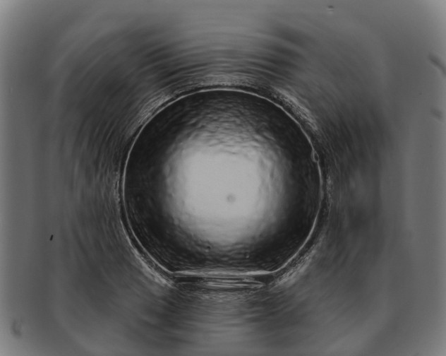 X0000091331033200708241155