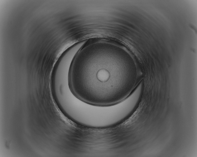 X0000091331034200708241155