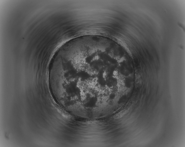 X0000091331035200708241155