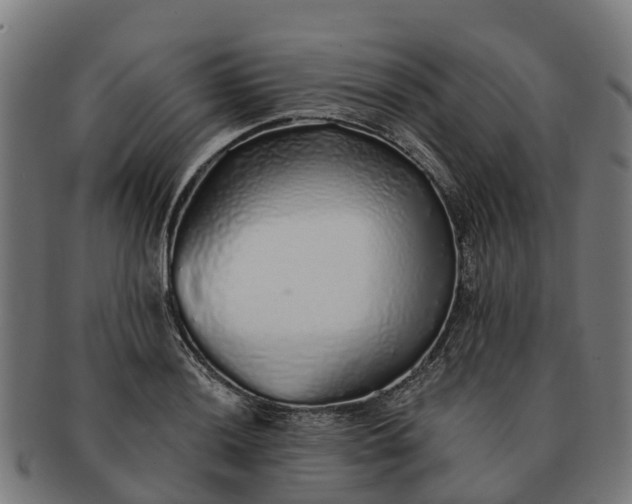 X0000091331036200708241155