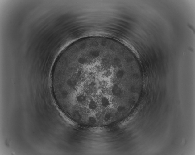 X0000091331037200708241155