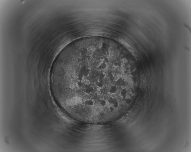 X0000091331039200708241155