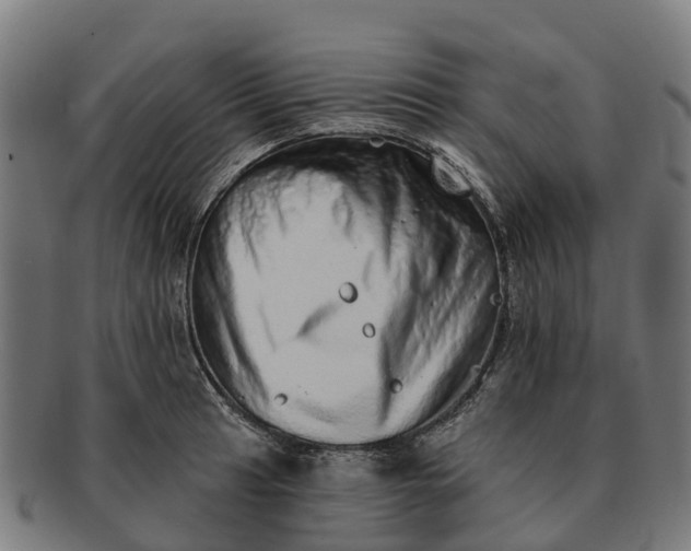 X0000091331041200708241155