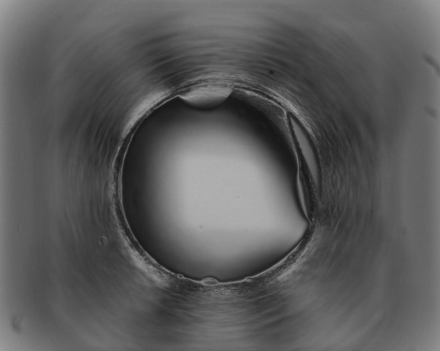 X0000091331042200708241156