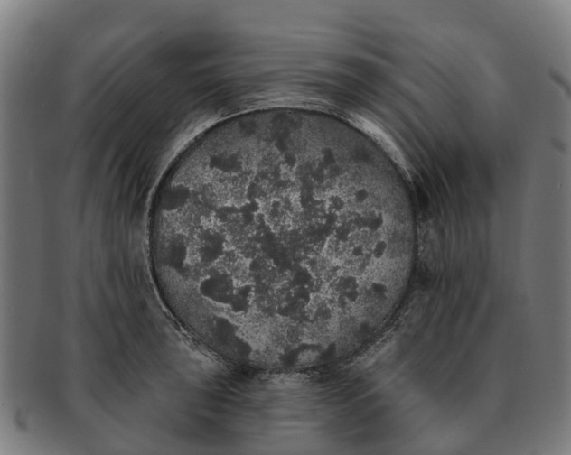 X0000091331043200708241156