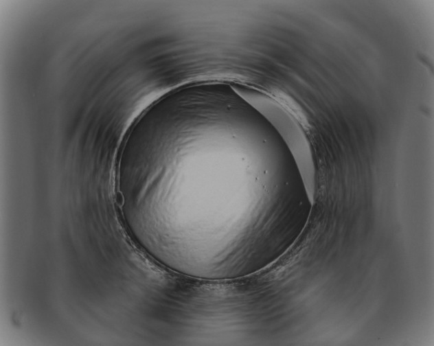 X0000091331044200708241156