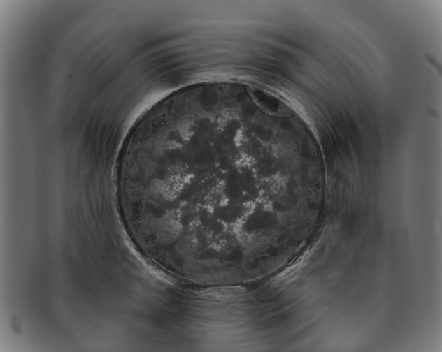 X0000091331045200708241156