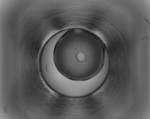 X0000091331046200708241156