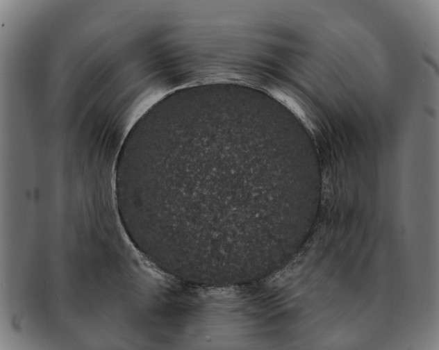 X0000091331047200708241156