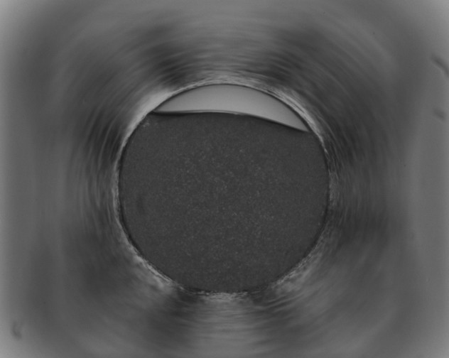 X0000091331048200708241156