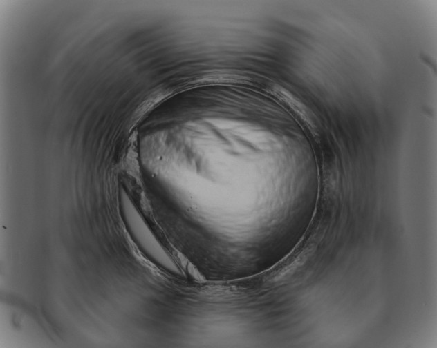 X0000091331049200708241156