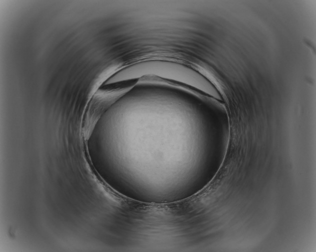 X0000091331050200708241156