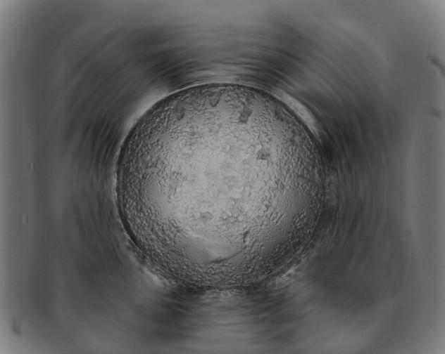 X0000091331051200708241156