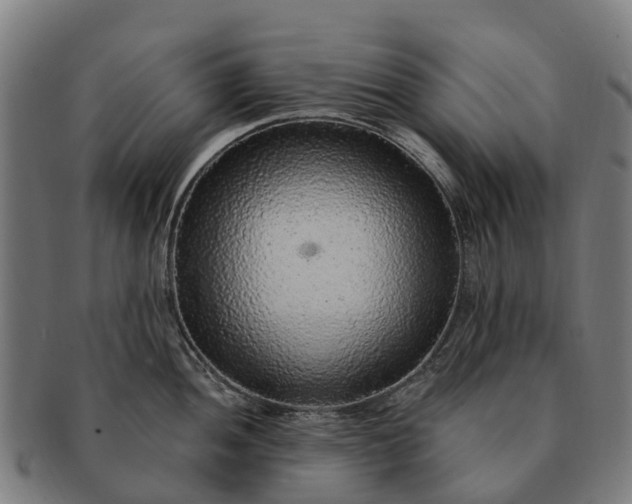 X0000091331052200708241156