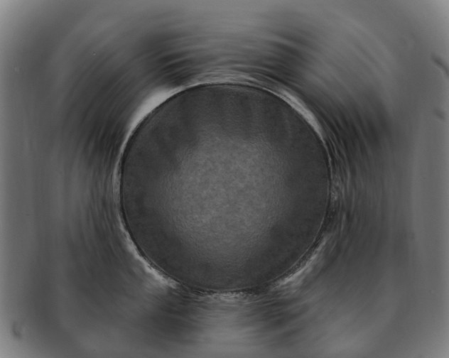 X0000091331053200708241156