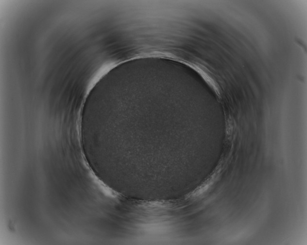 X0000091331054200708241156