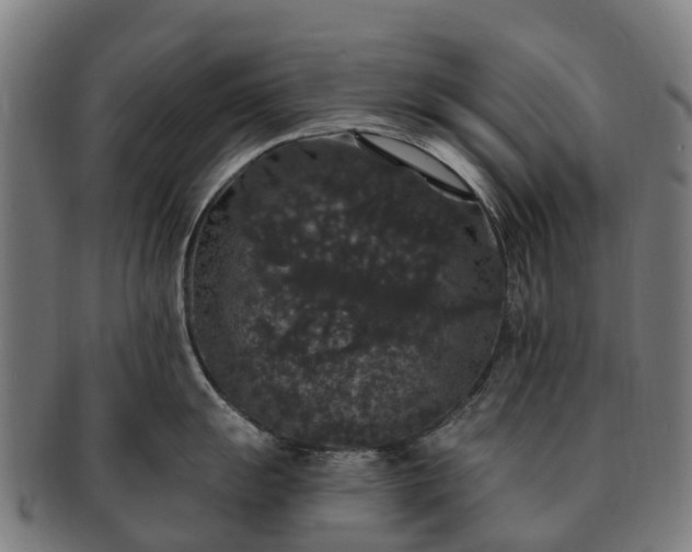 X0000091331055200708241156