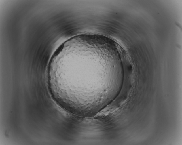 X0000091331056200708241156