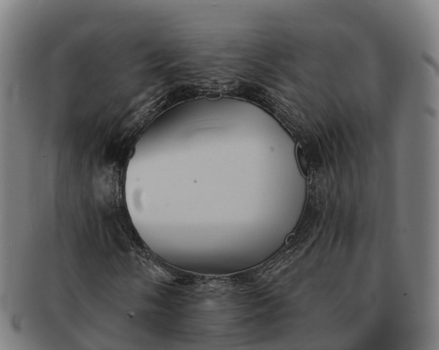 X0000091331058200708241155