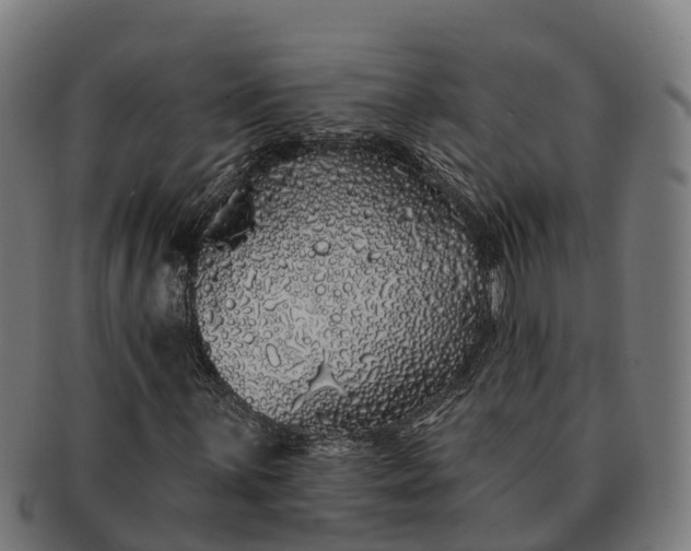 X0000091331059200708241155