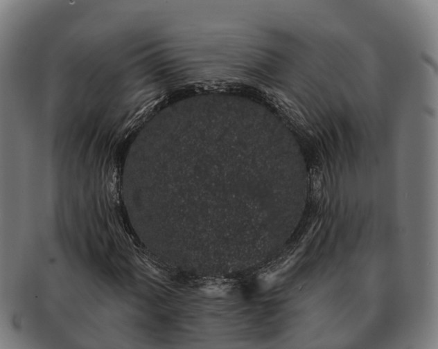 X0000091331060200708241155