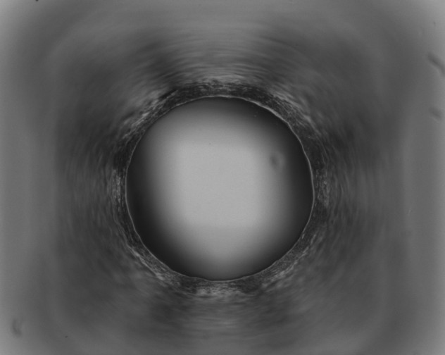 X0000091331061200708241155