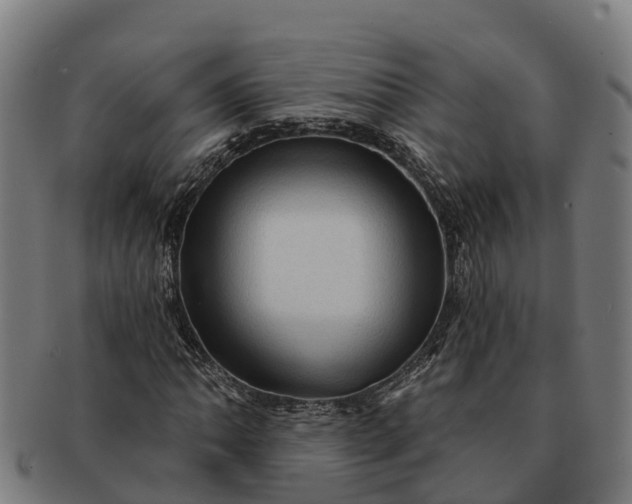 X0000091331062200708241155