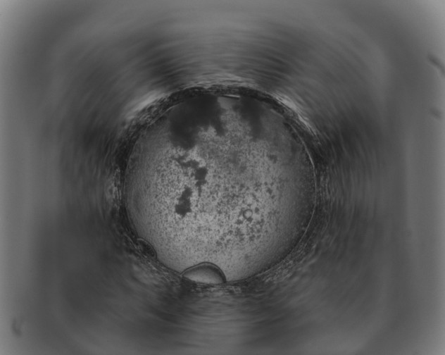 X0000091331063200708241155