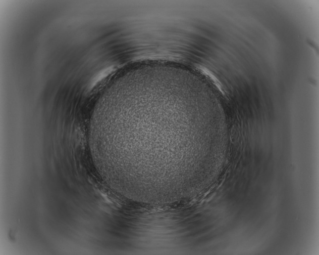 X0000091331064200708241155