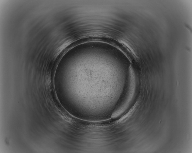 X0000091331065200708241155