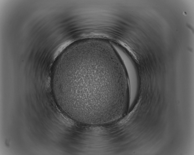 X0000091331066200708241155