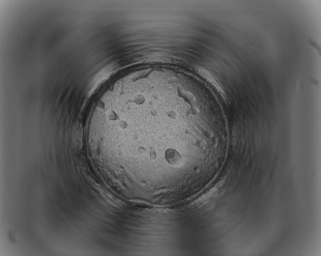 X0000091331067200708241155