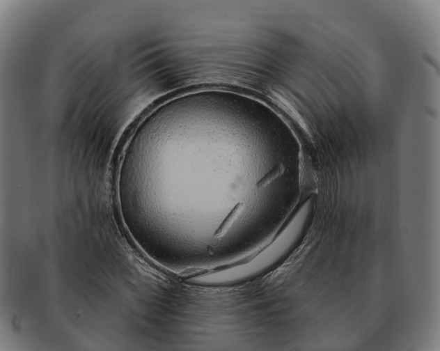 X0000091331068200708241155