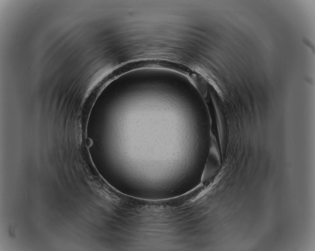 X0000091331069200708241155