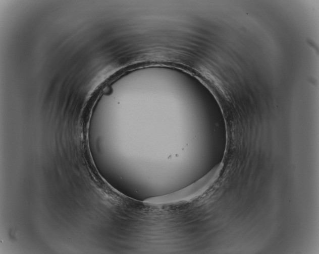 X0000091331070200708241155