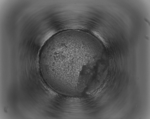 X0000091331071200708241155