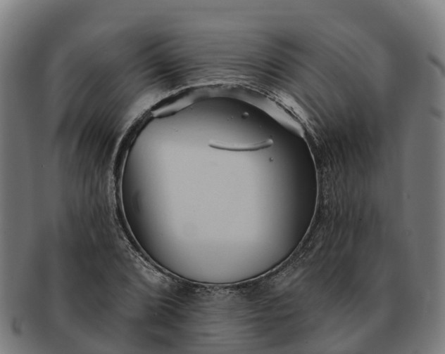 X0000091331072200708241155