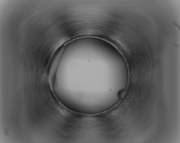 X0000091331073200708241155