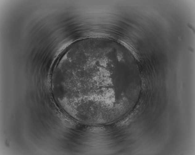 X0000091331074200708241155