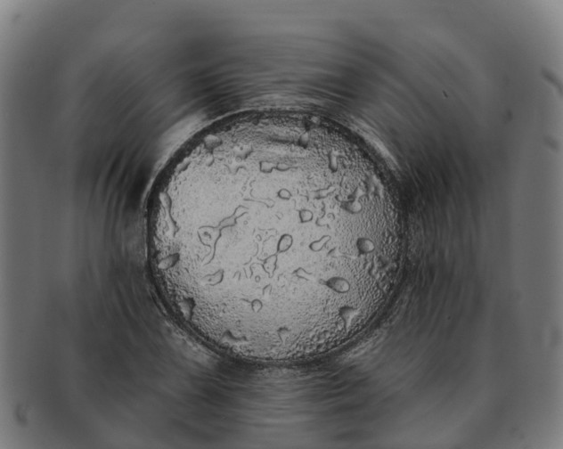 X0000091331075200708241155