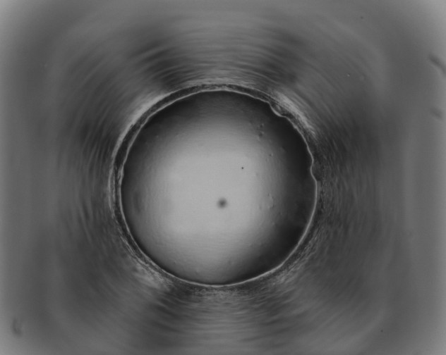 X0000091331076200708241155