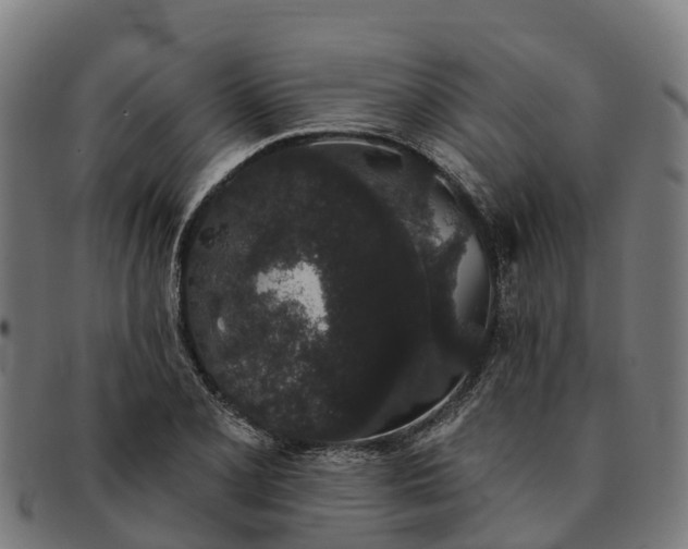 X0000091331077200708241155