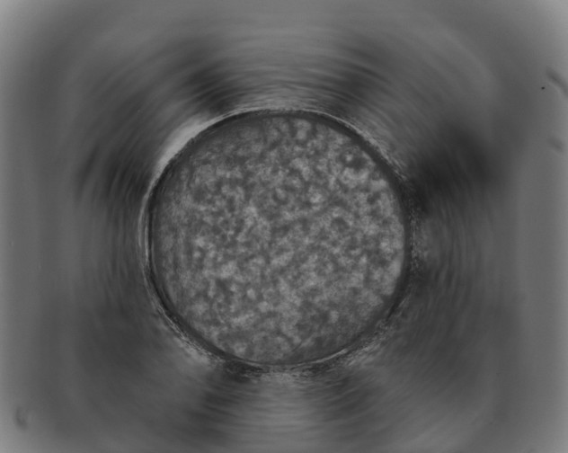 X0000091331078200708241155