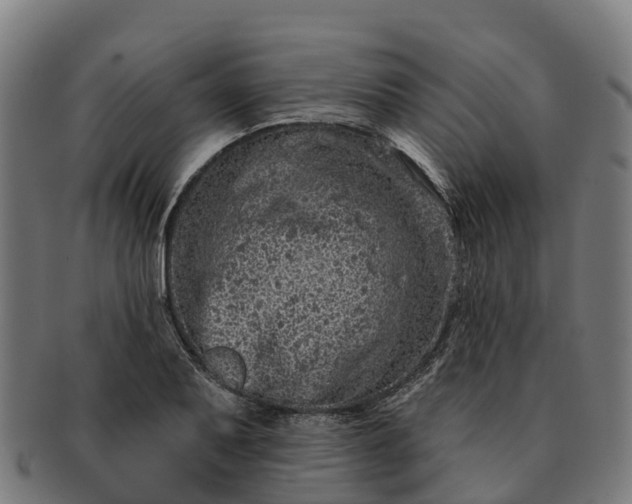 X0000091331079200708241155