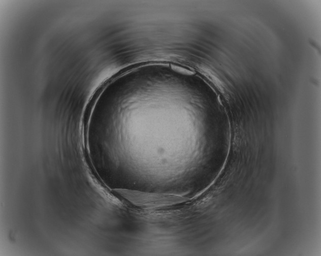 X0000091331080200708241155