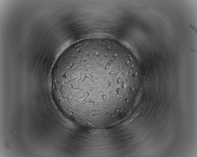 X0000091331083200708241155