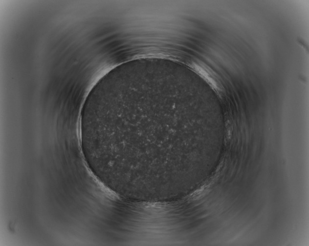 X0000091331084200708241155