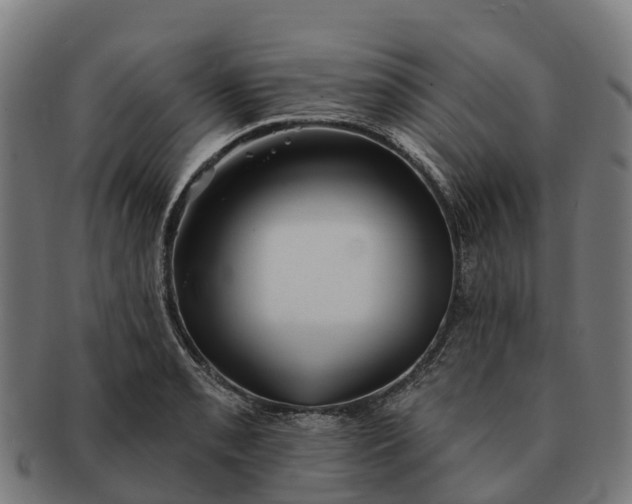 X0000091331085200708241155